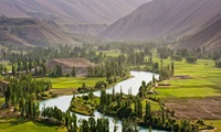 Ghazar 89 Pakistan